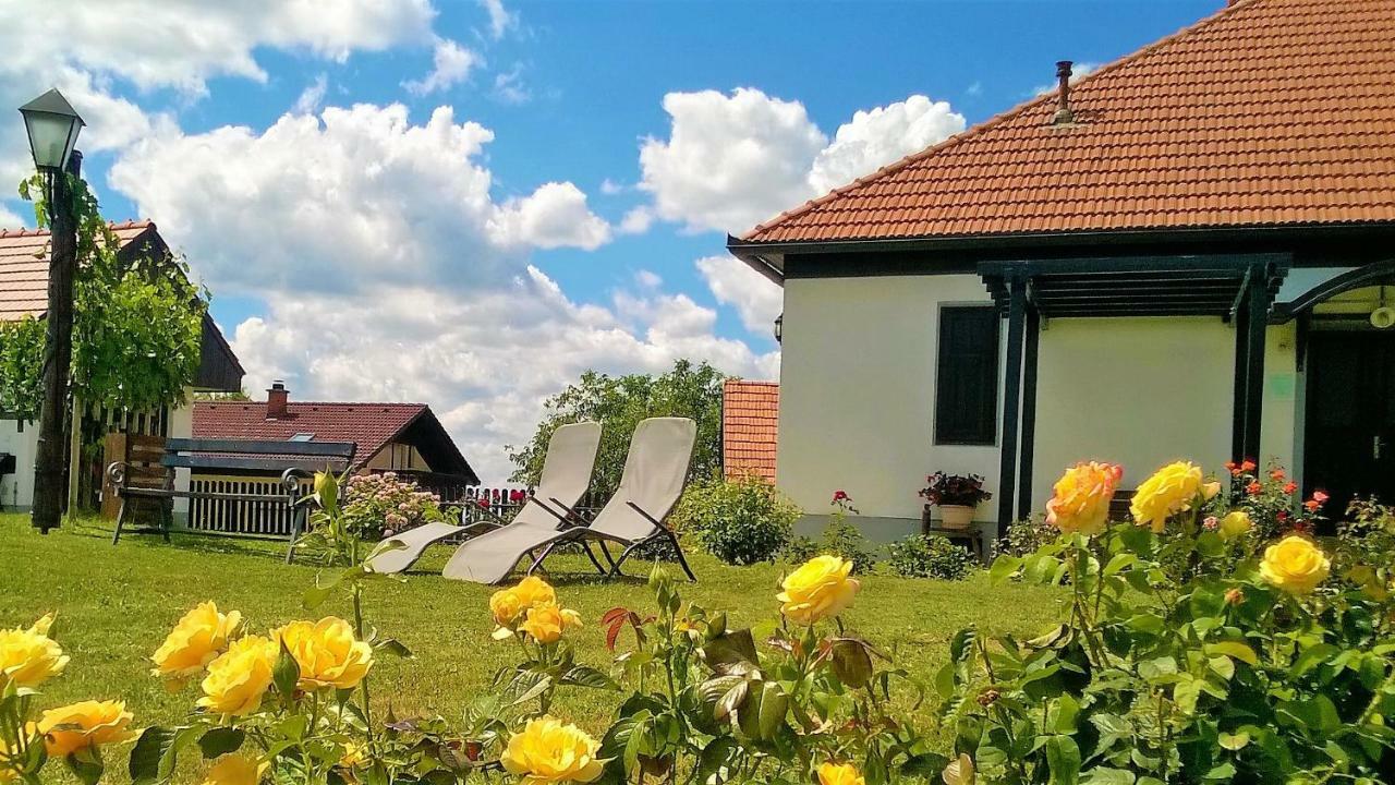 Вілла Pocitniska Hisa Kog Екстер'єр фото